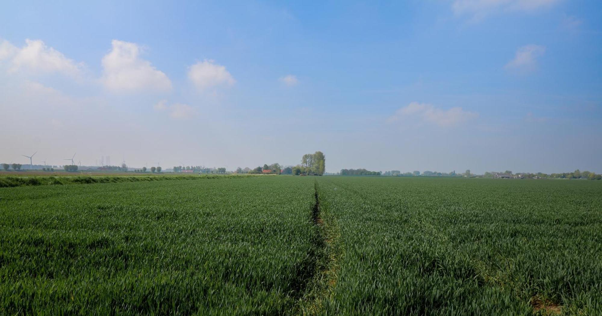 Hof Nieuwerkerk Chalet 2 Arnemuiden Buitenkant foto
